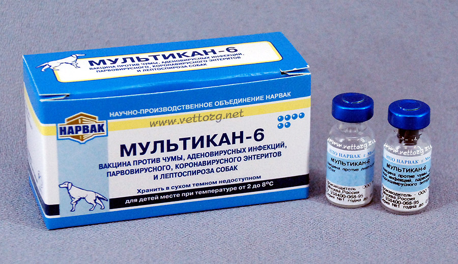 Как сделать прививку собаке мультикан 8