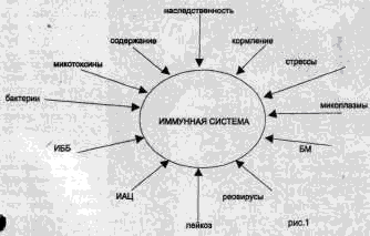 Рис. 1