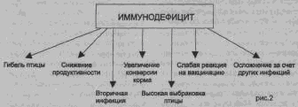 Рис. 2
